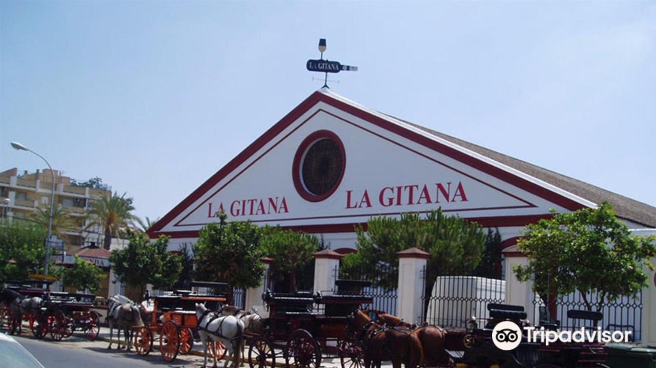 산루카데바라메다 Convento De La Victoria Junto Al Cabildo Con Wifi Y Parking Gratis 아파트 외부 사진